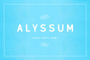 Alyssum - Sans Serif Font, a Sans Serif Font by CorgiAstronaut (Thumbnail 1 of 6)