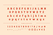 Mikado – Modern Serif Font, a Serif Font by Almeera Std (Thumbnail 4 of 6)