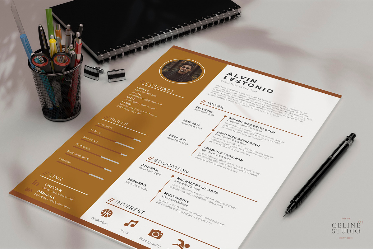 Profesional Resume / CV Template, a Resume Template by Celine Studio (Photo 1 of 4)