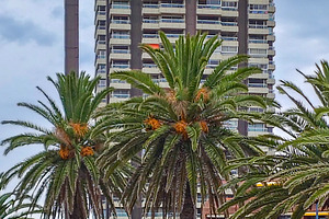Mansa beach, punta del este, uruguay, an Architecture Photo by DanFLCreativo