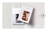 ROSE — Creative Pitch, a Brochure Template by Studio Standard (Thumbnail 4 of 12)