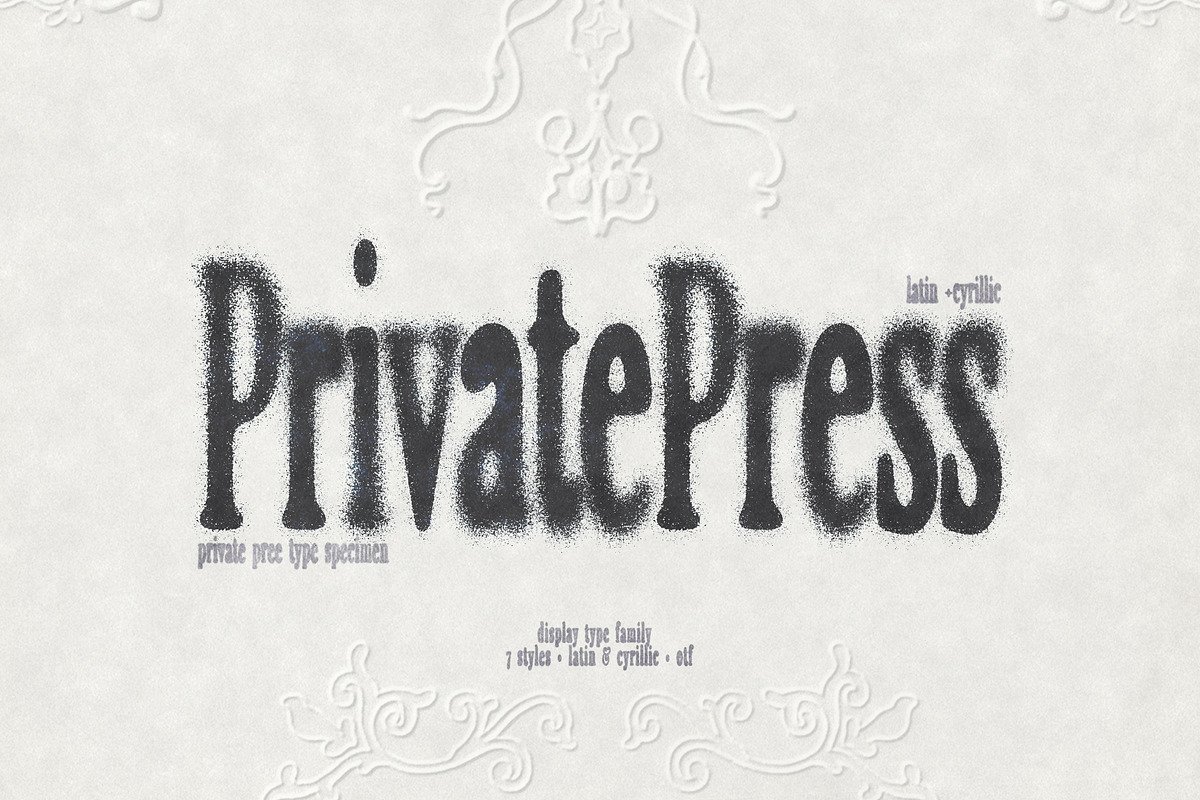 Private Press – Distressed Serif, a Slab Serif Font by nadispasibenko (Photo 1 of 6)