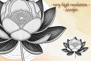 Sacred Lotus Flowers hand drawn logo, an Object Illustration by GraphicRedStudio (Thumbnail 3 of 10)