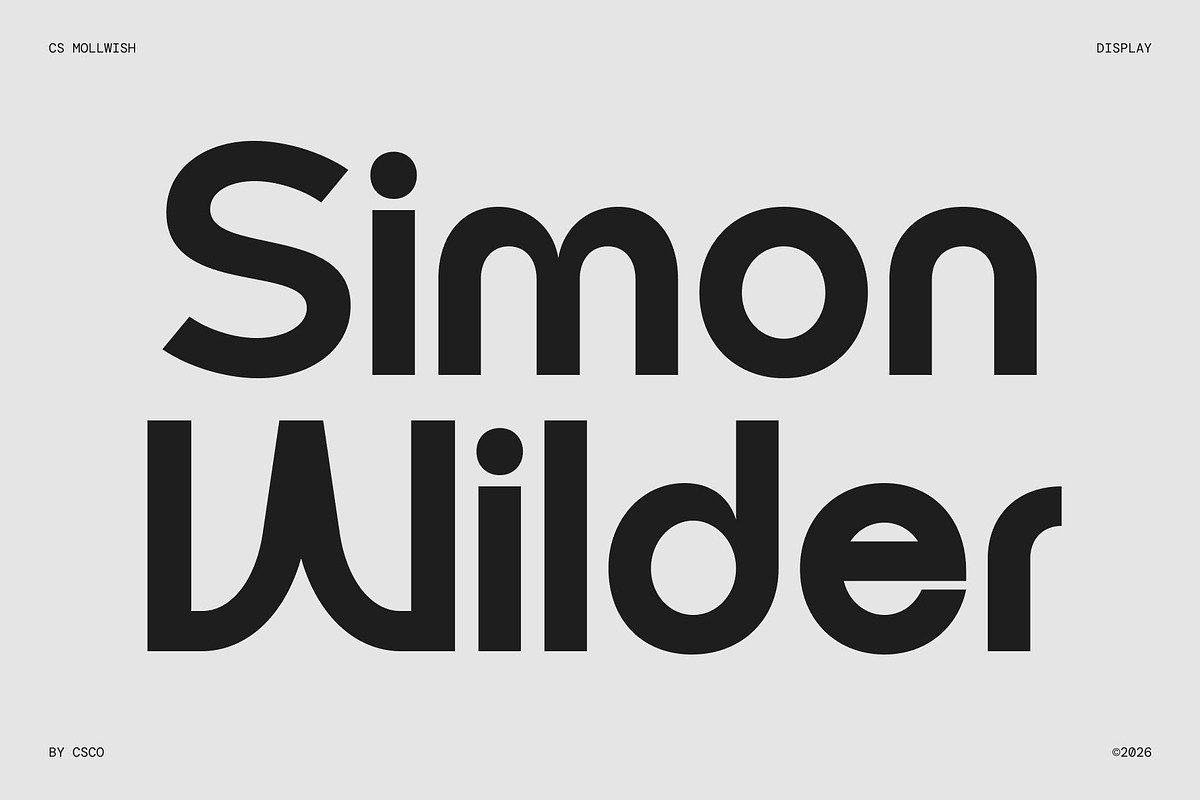 CS Mollwish – Modern Display Font, a Sans Serif Font by Craft Supply Co. (Photo 4 of 8)