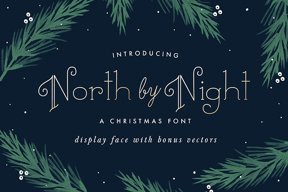 North By Night A Christmas Font preview 8