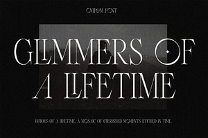 Onirom - Modern Ligature Serif Font