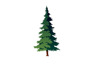 A cartoon illustration of a pine, an Illustration by the8monkey