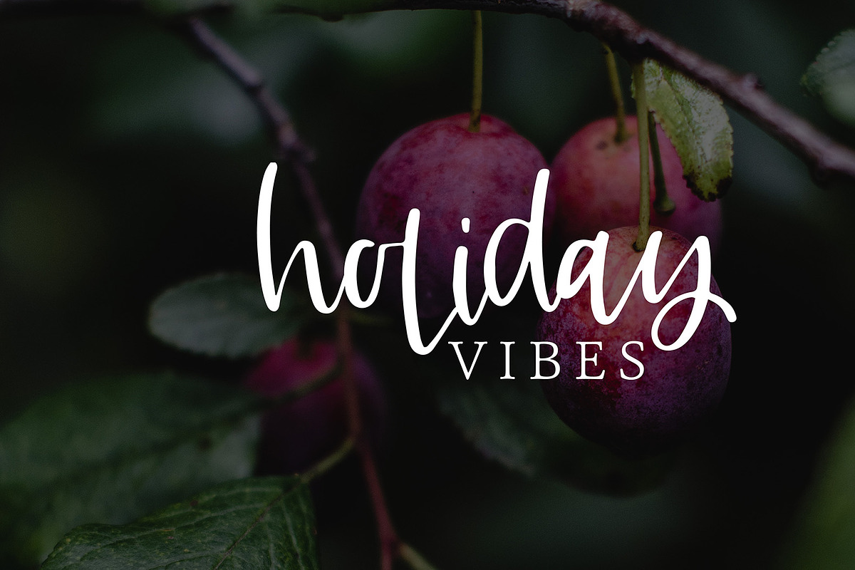 Candied Plum preview 3