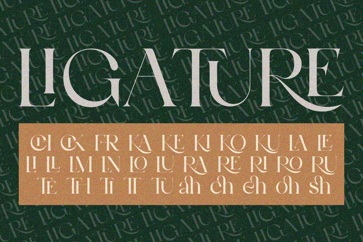Bulgash, a Serif Font by zaaintype (Photo 7 of 10)