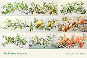Fruit tree branch. Collection, a Food Illustration by Handmadefont (Thumbnail 2 of 12)