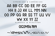 LEMON, a Script Font by FreshTypeINK (Thumbnail 6 of 8)