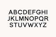 Goodspace Rounded Sans Serif Font, a Serif Font by UICreative (Thumbnail 3 of 13)