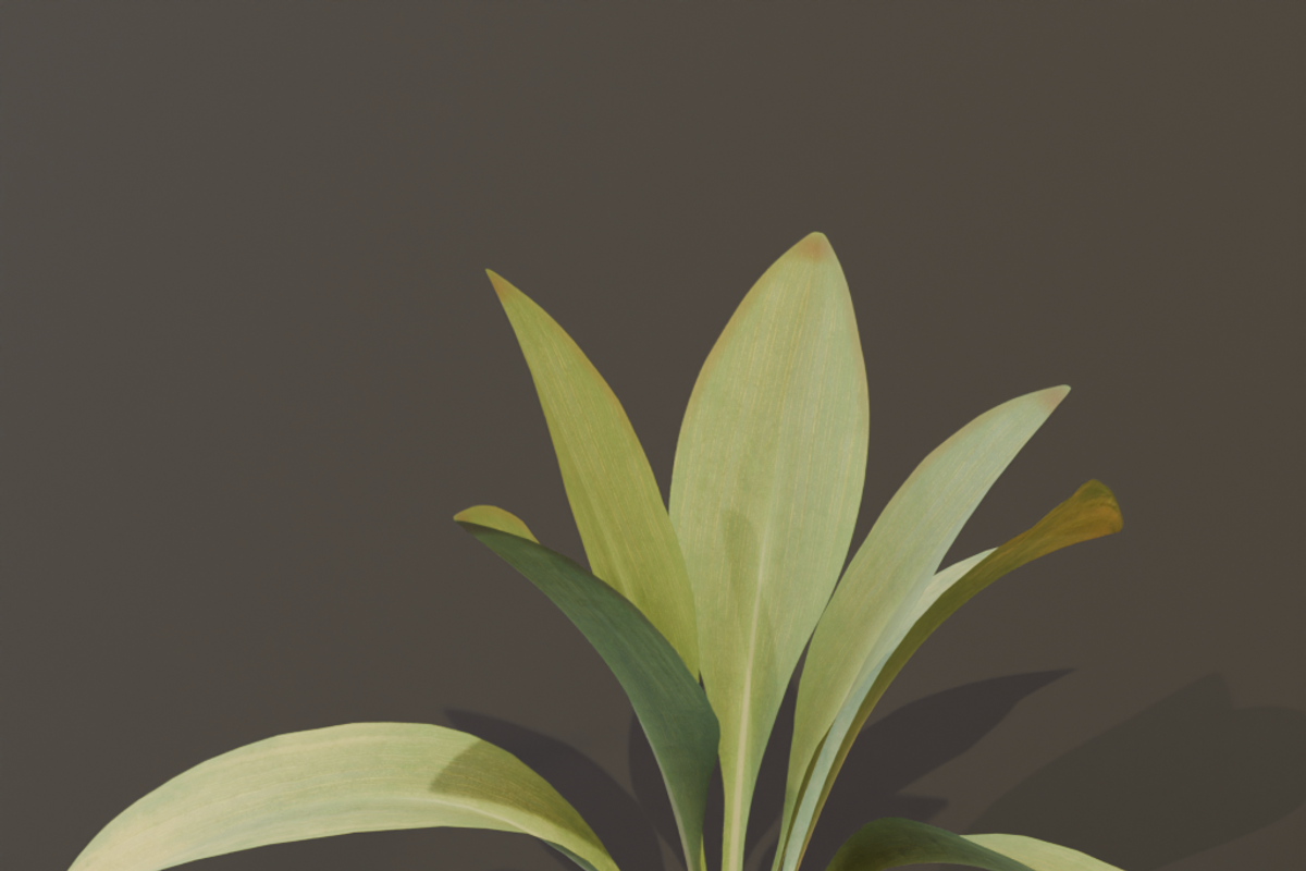 The Haran Bush, a Plants & Tree 3D Model by FuturePastCreatives (Photo 9 of 13)