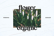 Mogila Display Font, a Serif Font by Letter Fresh (Thumbnail 4 of 8)