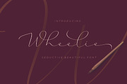 Wheelie, a Script Font by akrtype (Thumbnail 1 of 6)