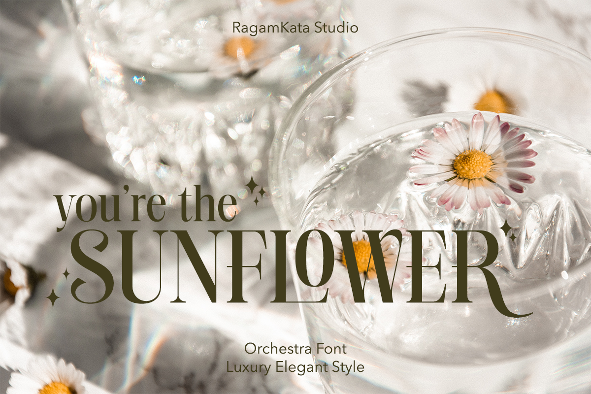 Orchestra - Modern Elegant Serif, a Serif Font by RagamKata (Photo 4 of 13)