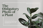 Honor Display, a Serif Font by PiiNK iiNK STUDiO (Thumbnail 5 of 11)