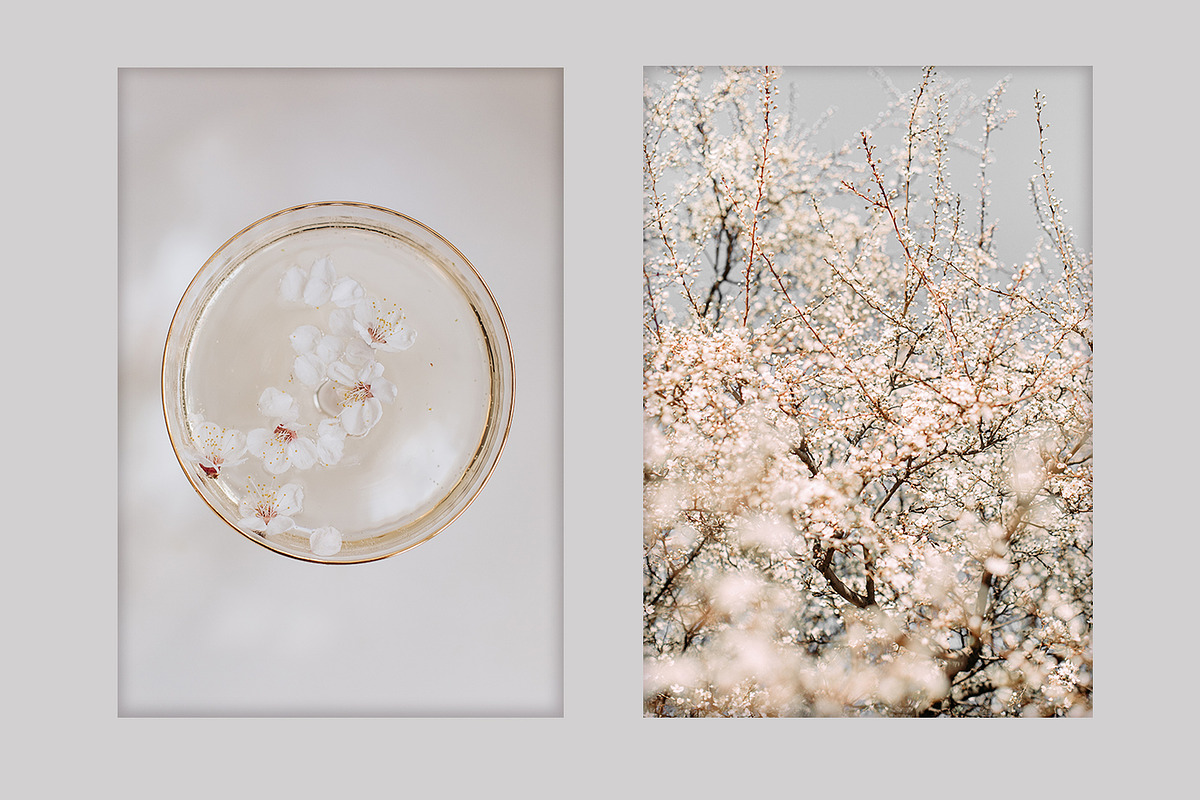 Spring Blossom Bundle, a Nature Photo by akovtun (Photo 2 of 6)