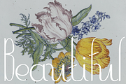 Contouration, a Serif Font by Intellecta Design (Thumbnail 5 of 5)