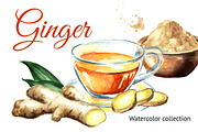Ginger.Watercolor collection, a Food Illustration by Daria Ustiugova (Thumbnail 1 of 4)