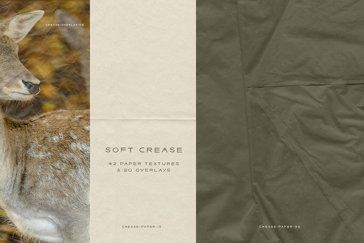 Crease - Paper Textures & Overlays, a Texture Graphic by alonahaidash (Photo 8 of 15)