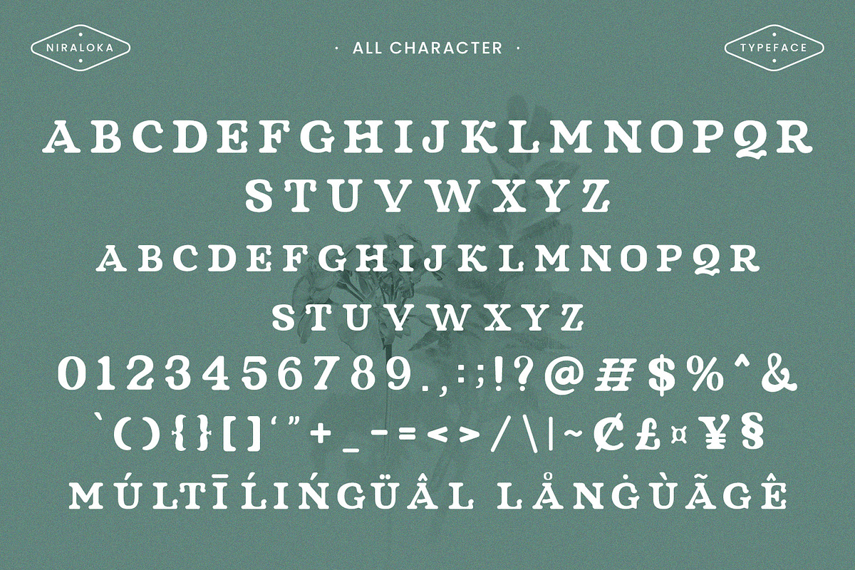 Niraloka - Serif Vintage Display, a Serif Font by Mantra Naga (Photo 3 of 10)