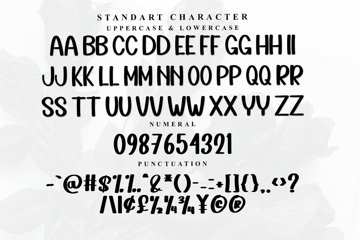 Family Camping, a Serif Font by InermediaSTUDIO (Photo 2 of 7)