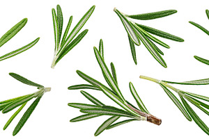 Rosemary isolated on white, a Food & Drink Photo by Max Lashcheuski