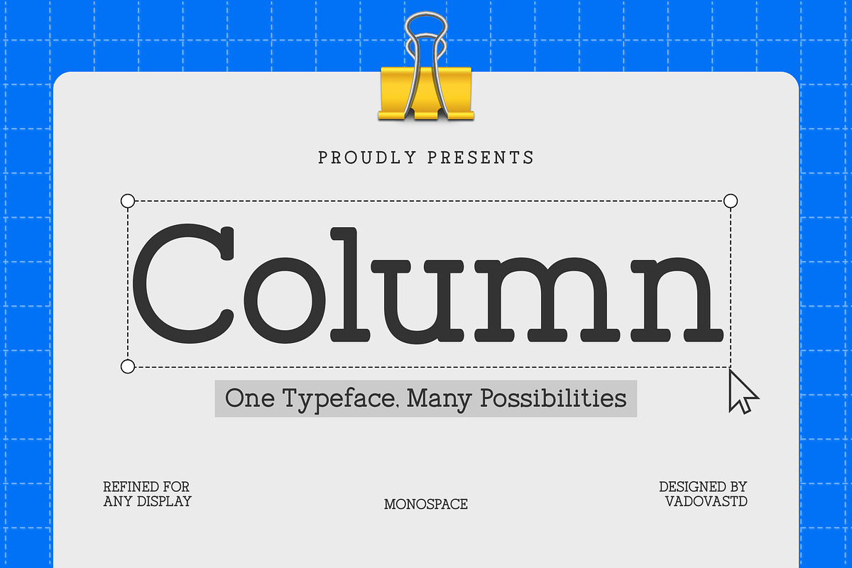 Column Modern Soft Slab Serif Font, a Slab Serif Font by Vadovastd (Photo 1 of 7)