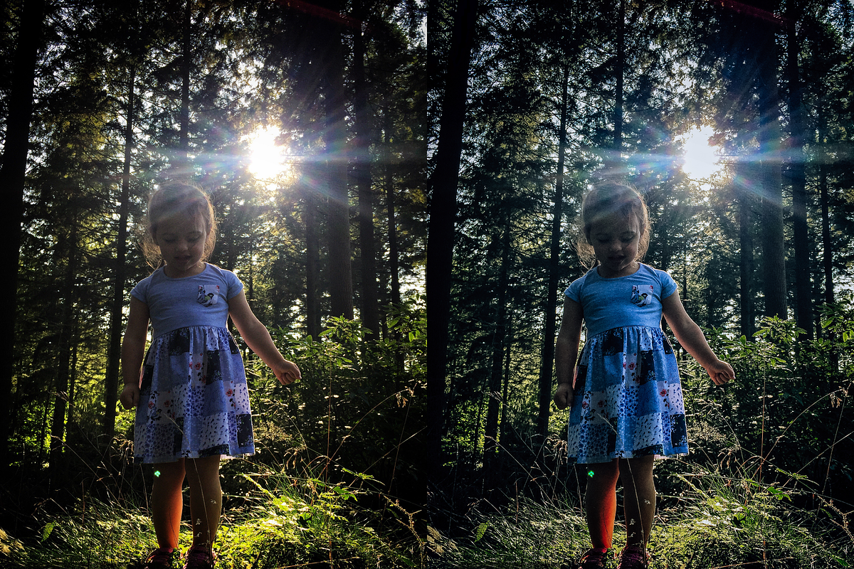 10 Forest Lightroom Presets, a Preset Add-On by RamsaGraphi (Photo 7 of 10)