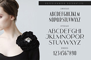 Modern Display Font Bundle, a Sans Serif Font by Struvictory.art (Thumbnail 28 of 31)