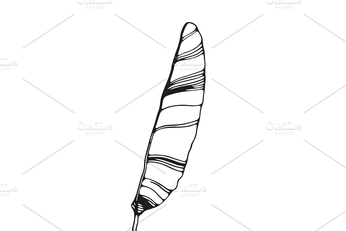 Palm Leaves svg, Botanical png, a Decorative Illustration by Watercolor_Vector Graphic (Photo 22 of 25)