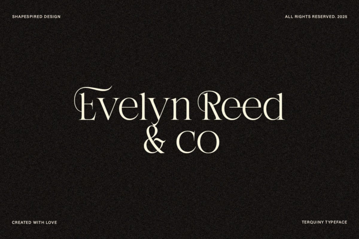 Terquiny - Modern Luxury Serif, a Serif Font by Shapespired Design (Photo 16 of 17)