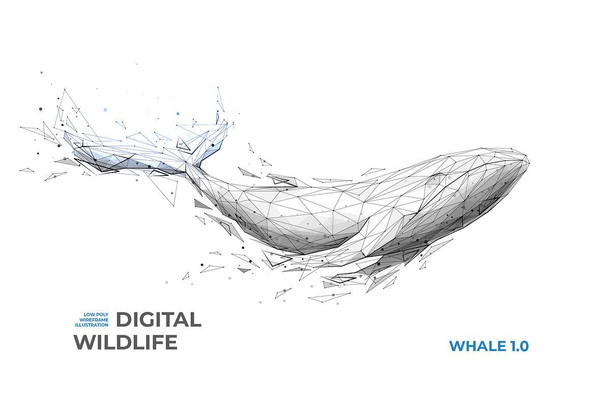 Whale. Abstract Vector Illustration, an Animal Illustration by ANTON KHRUPIN ART