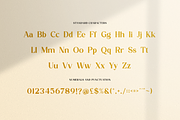 Patriona - Elegant Serif Font, a Serif Font by RockboyStd (Thumbnail 10 of 12)