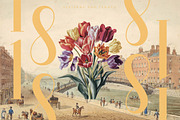 Rosejacn Modern Display Serif, a Serif Font by timelesstype.co (Thumbnail 6 of 20)