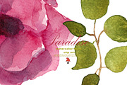 Floral watercolor clip art, an Illustration by SandraGraphicDesign (Thumbnail 5 of 5)
