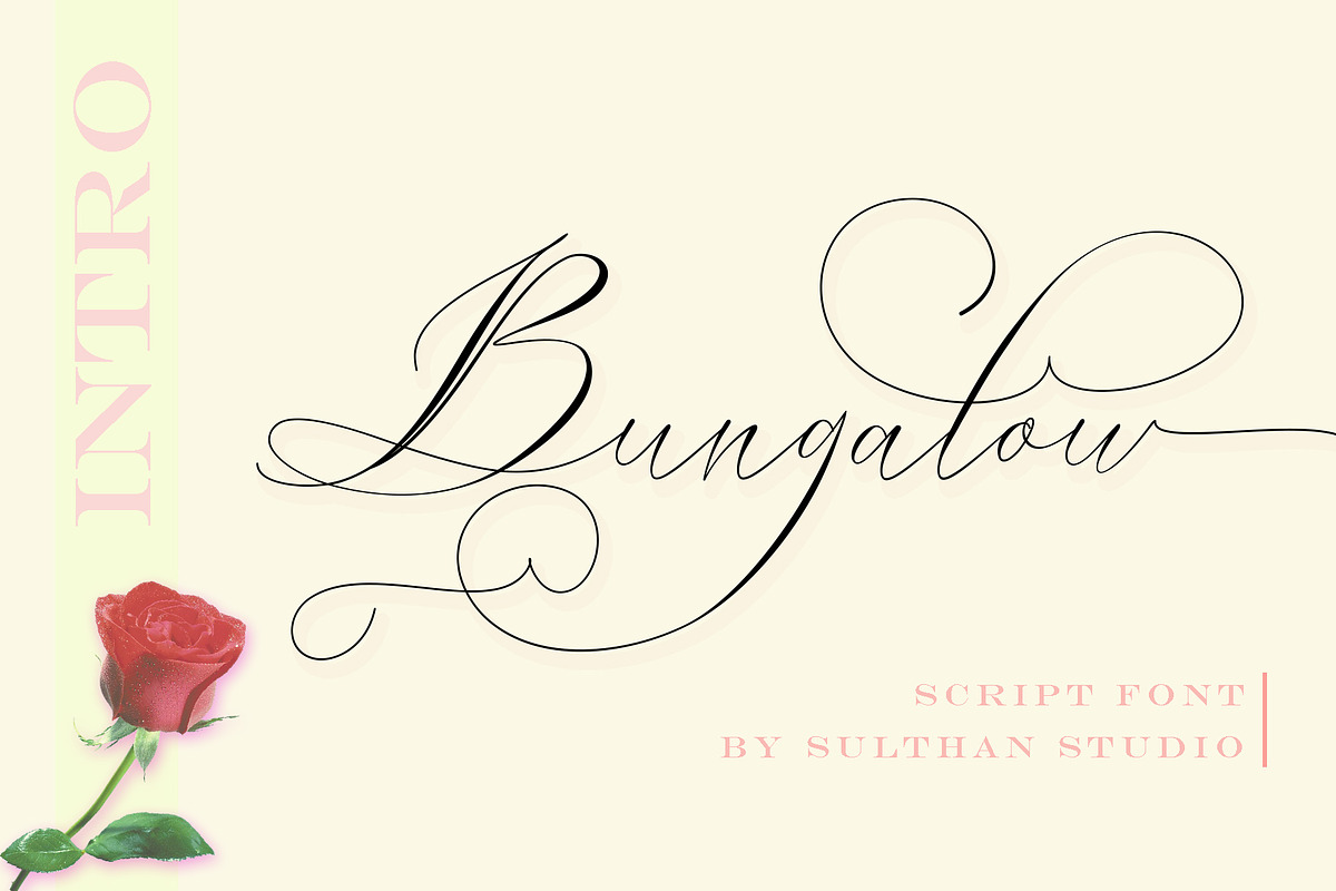 Swashy Font Bundle, a Script Font by Sulthan Studio