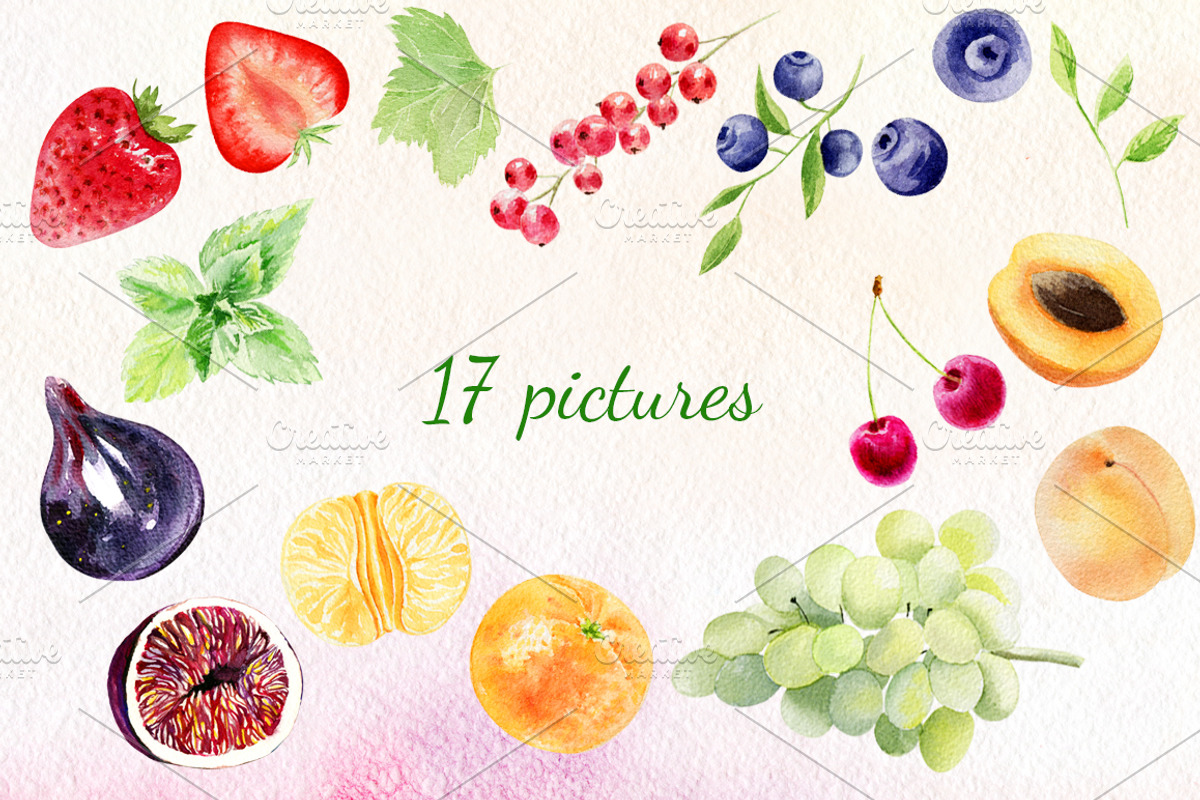 Watercolor fruit set, a Food Illustration by Elegantia (Photo 2 of 7)