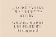 Nebiard Classic Serif Font, a Serif Font by Storytype Studio (Thumbnail 13 of 15)