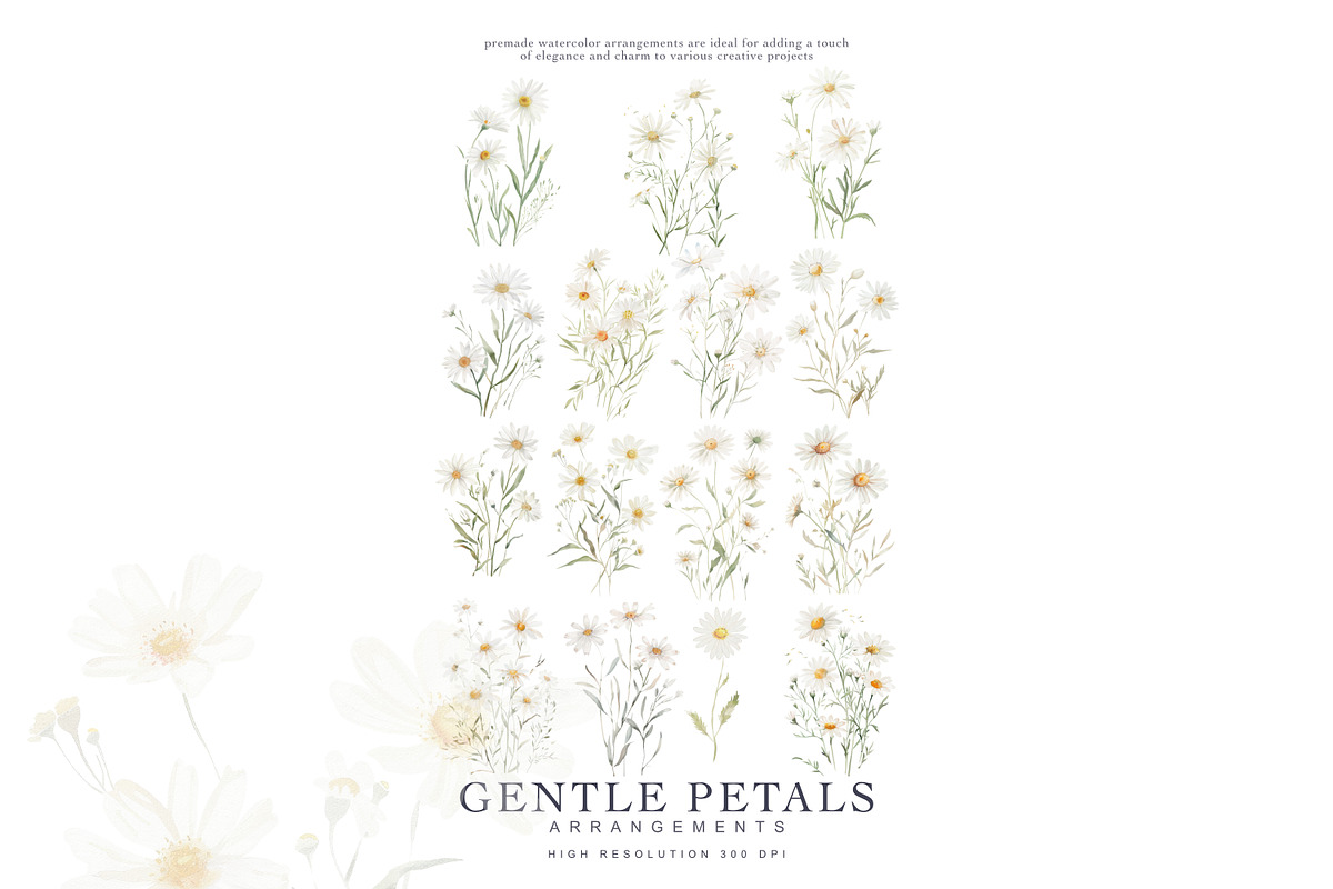 watercolor daisy clipart set, a Decorative Illustration by Patishop Art (Photo 5 of 6)