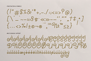 Serpai Monoline | Handwritten Font, a Handwritten Font by gracetype_studio (Thumbnail 16 of 17)