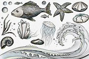 Sea Life - Ink & pencil pack, an Illustration by Watercolor Nomads (Thumbnail 2 of 2)