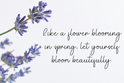 Signature, a Handwritten Font by FreshTypeINK (Thumbnail 7 of 8)