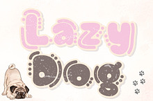 LAZY DOG - Handwritting