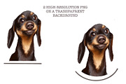 Dog dachshund, an Animal Illustration by sheincar (Thumbnail 2 of 3)