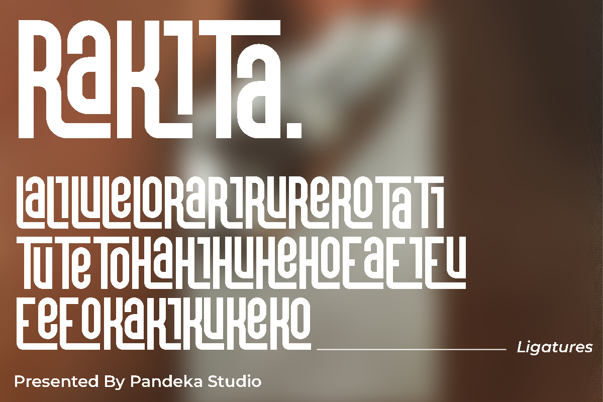 Rakita - Decorative Condensed, a Sans Serif Font by Pandeka Studio (Photo 11 of 12)