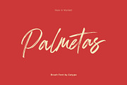 Palmetas, a Handwritten Font by Gatype (Thumbnail 1 of 10)