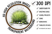 Watercolor Spring Green Grass Clipar, an Illustration by Craft Nest (Thumbnail 2 of 6)