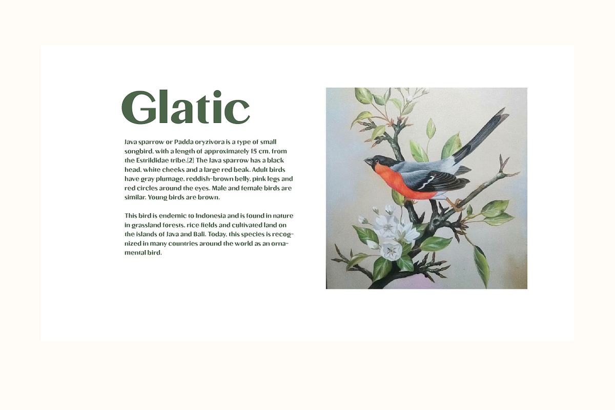 Glatic - Vintage Modern Typeface, a Sans Serif Font by Yukita Creative (Photo 3 of 12)